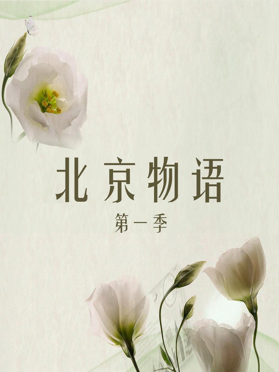 北京物语 1